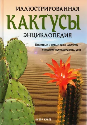 Полный Виды и разновидности домашних кактусов с названиями и описанием  (+100 Фото): цветущие, с листьями и без ш… | Cactus house plants, Cactus  plants, House plants