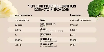 Виды крестоцветных и чем они полезны?