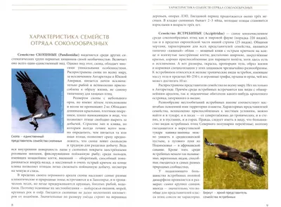 Казахстан: редкие хищные птицы расправляют крылья | Eurasianet