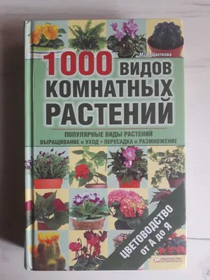 10 самых красивых комнатных растений для дома