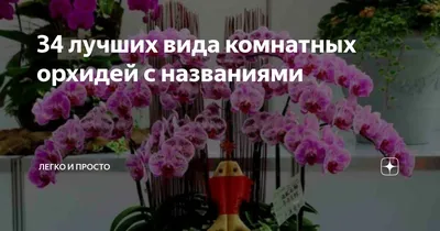 1000 видов комнатных растений: 50 грн. - Книги / журналы Днепр на Olx