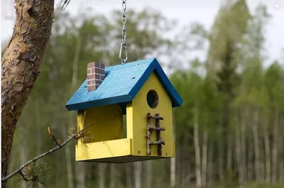 Уличные кормушки для птиц - купить в интернет-магазине zveryatam.ru