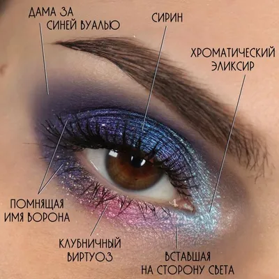 Виды макияжа глаз: основные названия и техники | Мода и красота!!! | Дзен