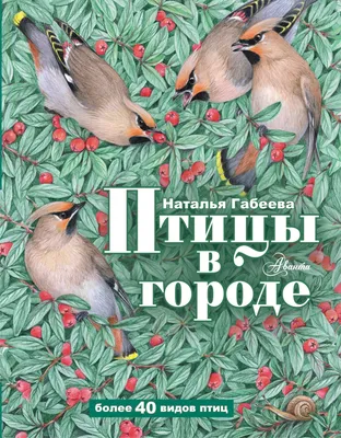 Детская библиотека Парабельского района - Покормите птиц зимой!