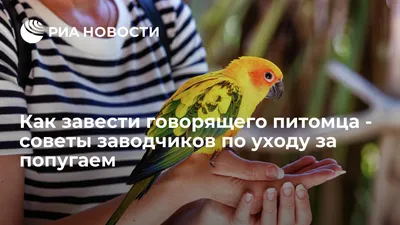 Топ 10 самых маленьких птиц России