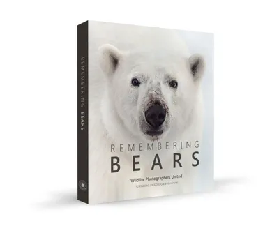 Белый медведь: истории из жизни, советы, новости, юмор и картинки — Лучшее  | Пикабу