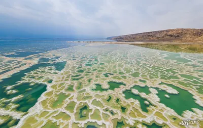 Более 300 вариантов. Как менялось название Черного моря | ОБЩЕСТВО | АиФ  Краснодар