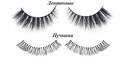 Пин от пользователя Diana на доске Eyelash extensions styles | Ресницы,  Ресницы советы, Ресницы растут