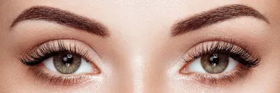 Как подобрать накладные ресницы по типу лица и форме глаз | Блог Марты |  Дзен