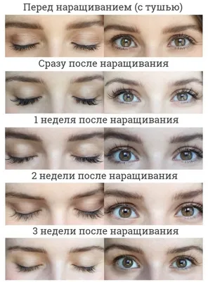 Пин на доске Lashes