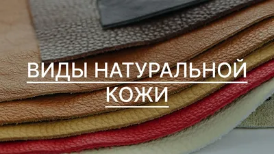 Виды натуральной кожи. Какая кожа подходит для сумок, а какая - для  перчаток? - YouTube