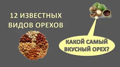 Jagran: Ученые нашли 5 видов орехов полезными для крепости костей | Новости  России и мира | Дзен