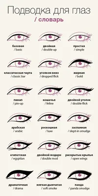 Инфографика: подводка для глаз, краткий путеводитель -  http://www.yapokupayu.ru/blogs/post/infografika-pod… | Подводка для глаз,  Макияж глаз, Руководство по макияжу