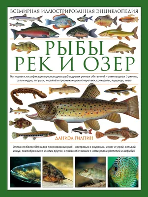 Набор морских речных рыб. Различные виды коллекций морепродуктов .  Векторное изображение ©ideyweb 176025656