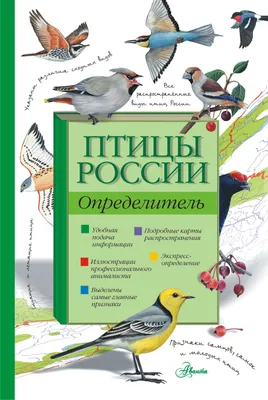 Коллекция Различных Видов Птиц. Клипарты, SVG, векторы, и Набор Иллюстраций  Без Оплаты Отчислений. Image 74016399