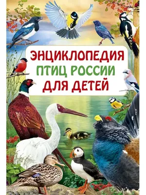 Почему не все синицы синие: тульский фотограф-анималист рассказала о  фотоохоте на птиц - MySlo.ru
