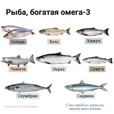 Список вредных видов рыбы, которую лучше не есть - 11 апреля 2021 - 59.ru