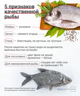 Рыба судак: особенности, виды, описание - Frost Fish