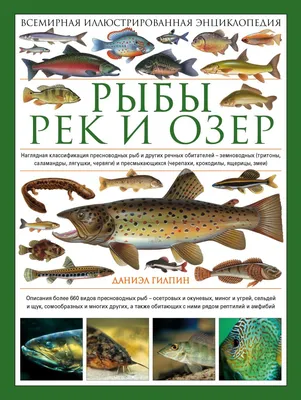 Раскраска виды речных. Раскраска Раскраска виды речных и морских рыб  распечатать. Онлайн раскраски.