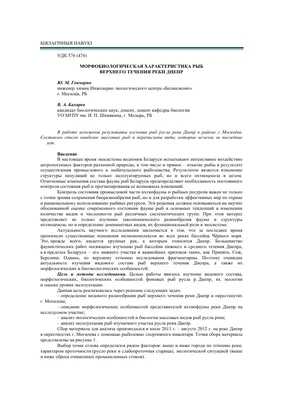 Какие виды рыб можно поймать в Украине и где их можно найти - Все для  Рыбалки на Десне