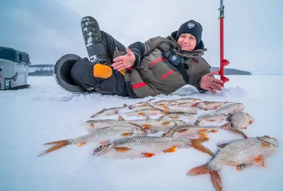 Основные виды рыбы и их местообитания в Украине | Fishmania 2023