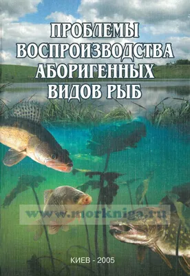 Беларусы и россияне собираются возродить экосистему Днепра после массовой  гибели рыбы | greenbelarus.info