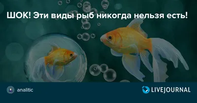 The Guardian (Великобритания): мошенничество с морепродуктами происходит в  глобальном масштабе (The Guardian, Великобритания) | 07.10.2022, ИноСМИ