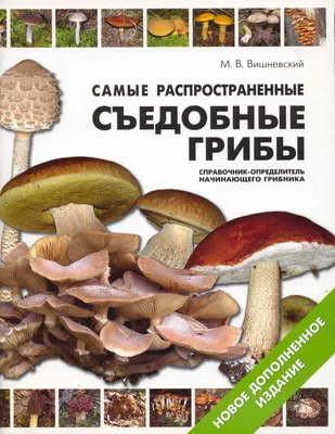 Условно-съедобные грибы: определение и важные особенности | Поход лайфхак |  Дзен