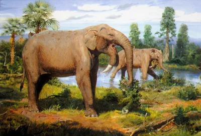Слон в плейстоценовой лавке. Как и зачем люди пытаются вернуть исчезнувшие  виды животных