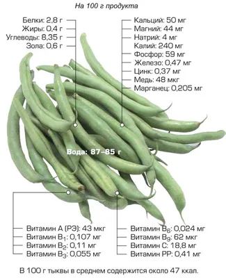 В чем польза зелёной стручковой фасоли для здоровья?