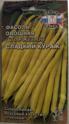 Стручковая Фасоль: Виды, Способы Приготовления, Условия Хранения + 18 Идей  Рецептов