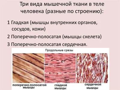 Виды тканей, качество тканей. Трикотаж.: Новости магазинов в журнале  Ярмарки Мастеров