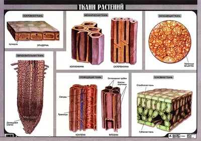 Виды тканей для одежды.