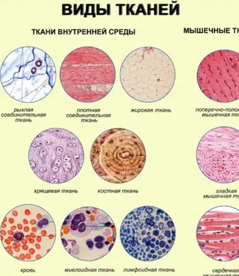 Особенности и виды тканей для одежды в школу