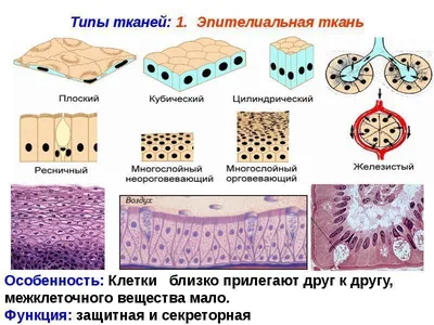 Виды и палитра тканей - МебельСоюзКонтакт