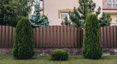 Закажите Забор из металлического штакетника | Цены от 2780 руб.