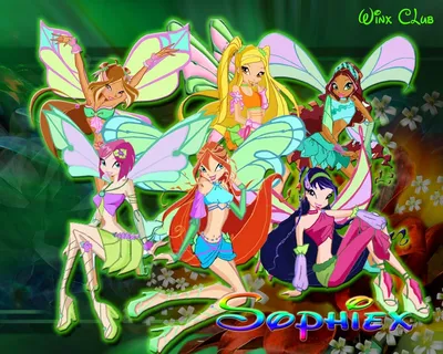 Кукла Winx Club Софикс в ассортименте купить по цене 5100 ₸ в  интернет-магазине Детский мир