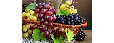 ТОП 10 самых морозостойких сортов винограда США. | ВКонтакте