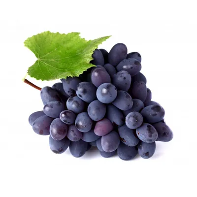 Кодрянка | ЛОЗА | купить саженцы винограда | описание сортов винограда |  как растить виноград | Вкусный виноград | Бердянск