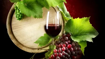 Виноград Черный Кристалл - купить саженцы ягодных культур с доставкой по  Украине в магазине Добродар