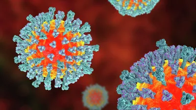 Ученые определили доминирующий в России генотип вируса кори - РИА Новости,  17.05.2023