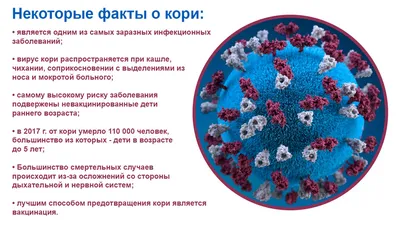 Вирус Кори Иллюстрации — стоковые фотографии и другие картинки Бактерия -  Бактерия, Биология, Болезнь - iStock