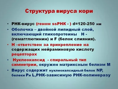 Информация по Кори