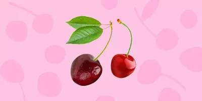 Черешнево-вишневые перипетии