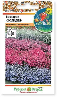 Вискария Разноцветное сияние, смесь окрасок 0,1г, семена | Купить в  интернет магазине Аэлита