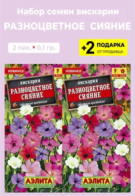 Семена Вискария 0,2 г (Насіння країни) (ID#1137298755), цена: 6 ₴, купить  на Prom.ua