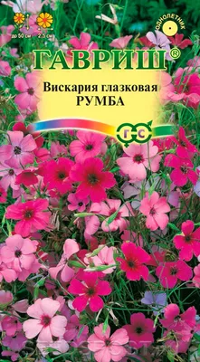 Вискария глазковая Румба, Смесь, 0,1 г, купить в интернет магазине  Seedspost.ru