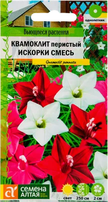 Вьющиеся цветы для дачи и сада: лучшие сорта растений | ivd.ru