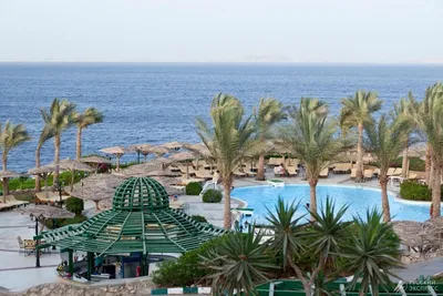 Лучшие отели Египта для поездки с ребенком на осенние каникулы и ноябрьские  праздники | Ассоциация Туроператоров