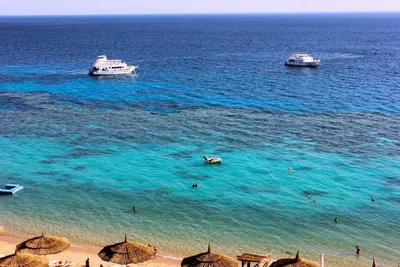 Dreams Beach Resort 5* (Шарм-эль-Шейх, Египет), забронировать тур в отель –  цены 2024, отзывы, фото номеров, рейтинг отеля.